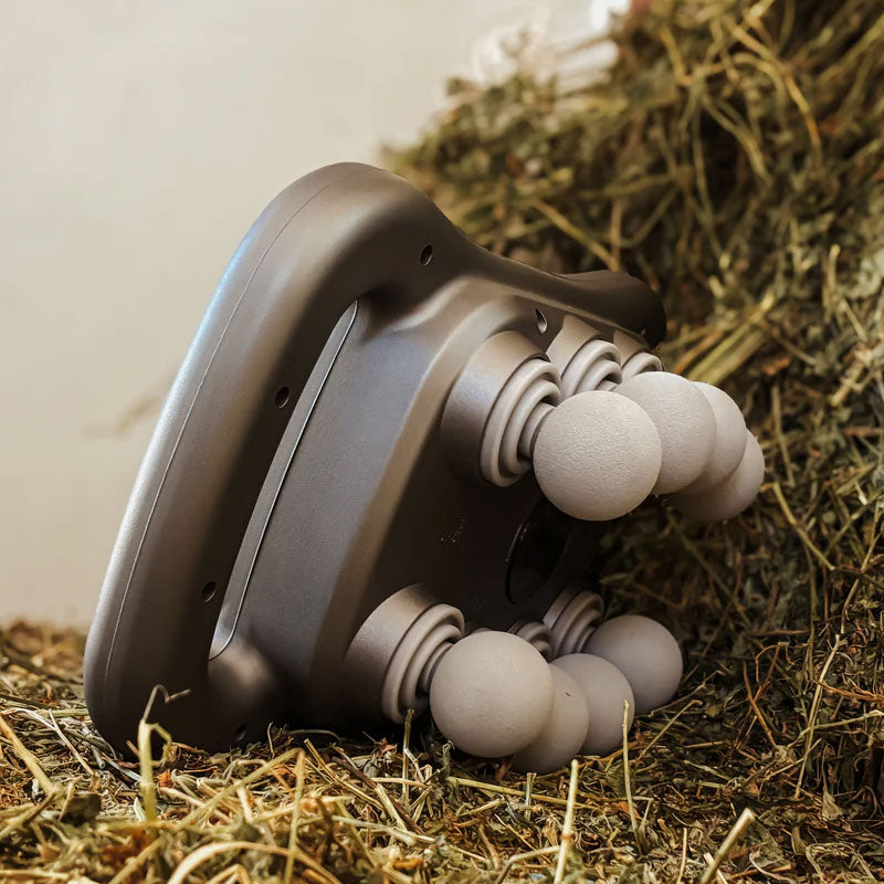 8 huvuden hästmassagepistol