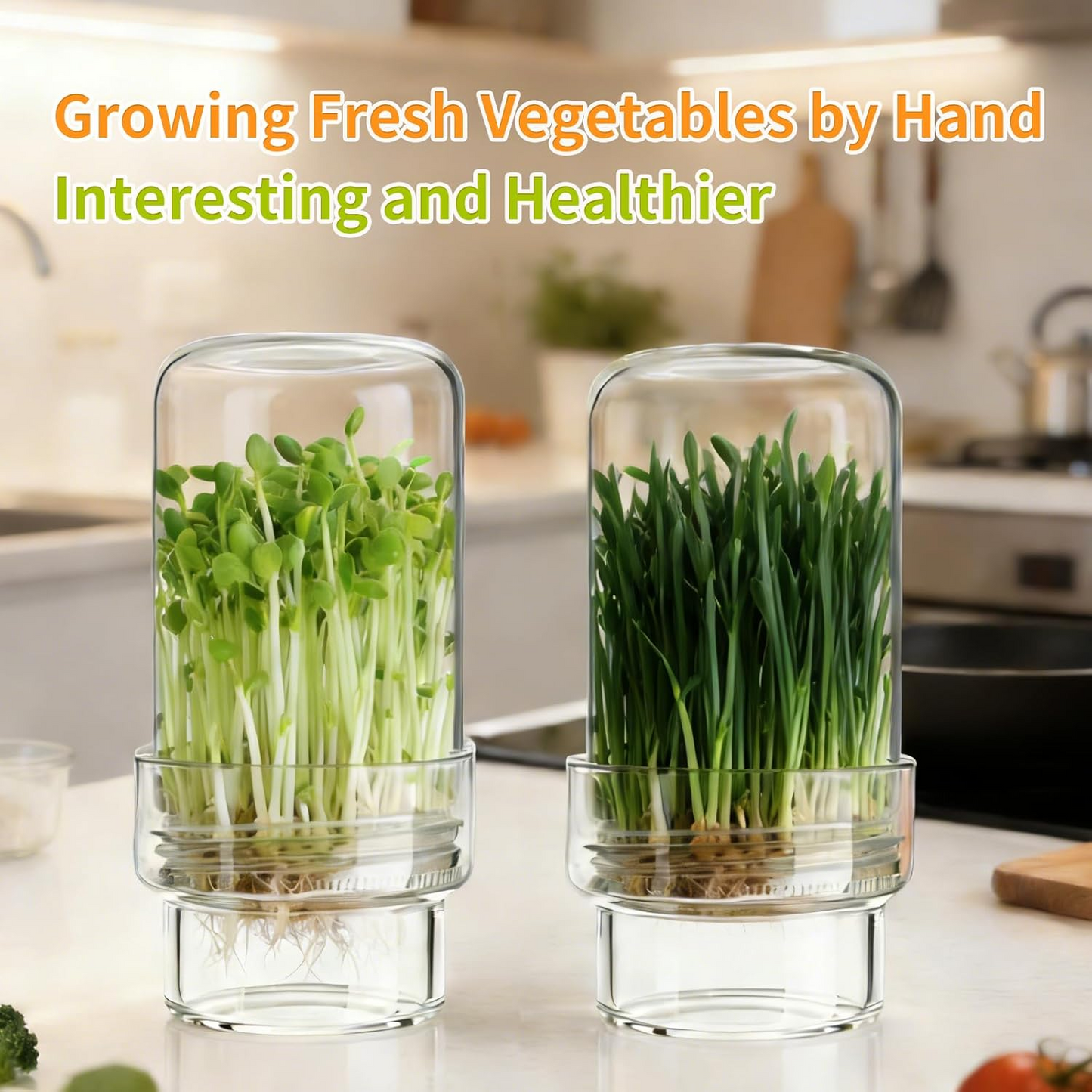 🥦 Updated Sprouting Kit - Sprouting Jar Kits