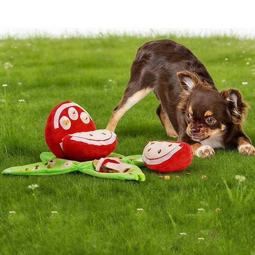 Seek Plush Dog Toys