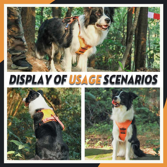 Husdjur explosionssäker väst bröst och rygg koppel