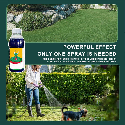 🧪Snabbverkande ogräsmedel med hög koncentration🌿