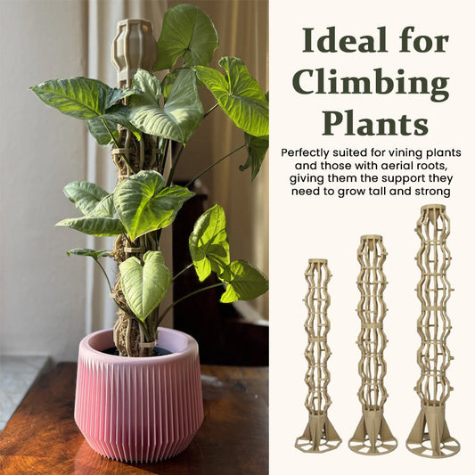 🌿Give Your Climbing Plants the Support They Deserve | Plant Moss Pole for Monstera & Pothos🌿