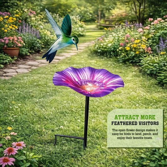 Bird Feeder