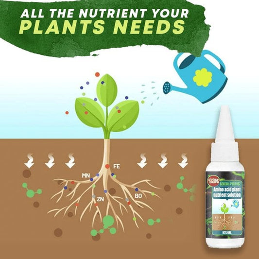 🥬🌻 BUY 1 GET 1 FREE! Organic Plant Nutrient – Essential minerals & amino acids. Healthier plants, happier balcony garden. 🏡💚