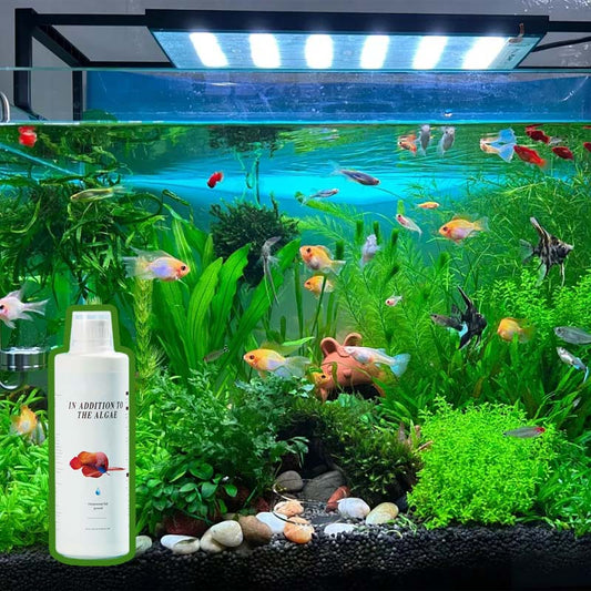 🐠 Mossborttagare För Fiskakvarier