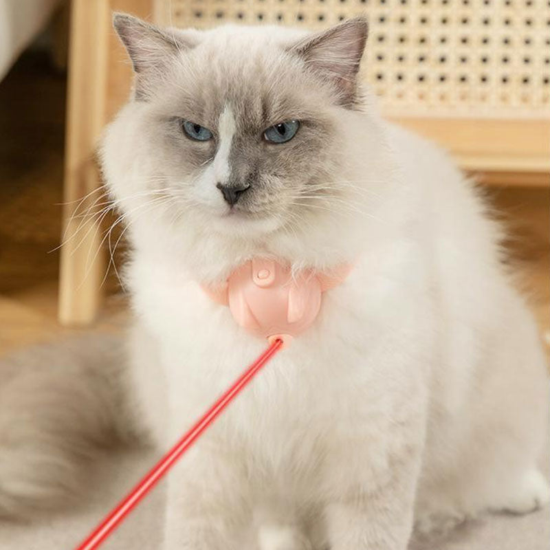 Halsband med laserleksak för katter