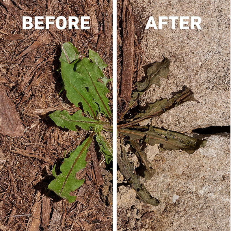 đ§ȘSnabbverkande ogrĂ€smedel med hög koncentrationđż