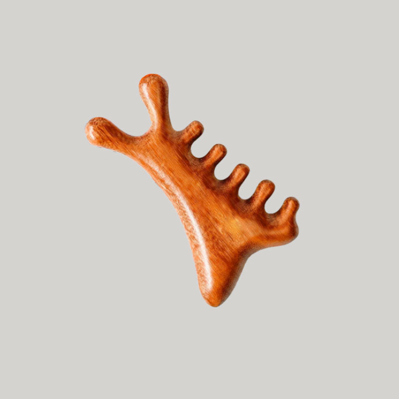 4-I-1 Massagekam