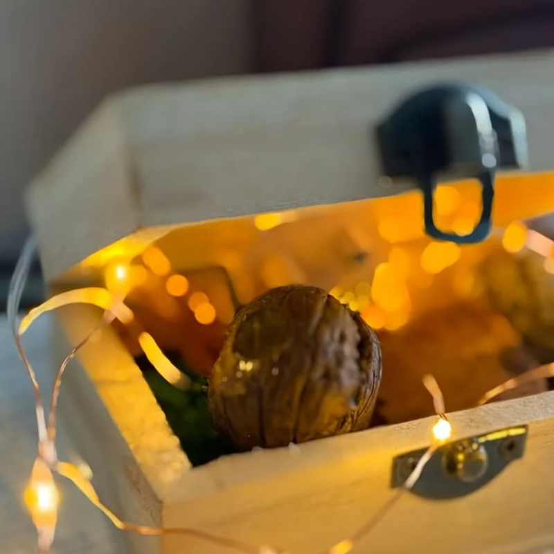 đ Handgjort dockhus i valnötsskal - litet bibliotek, liten vĂ€rld inuti valnötter