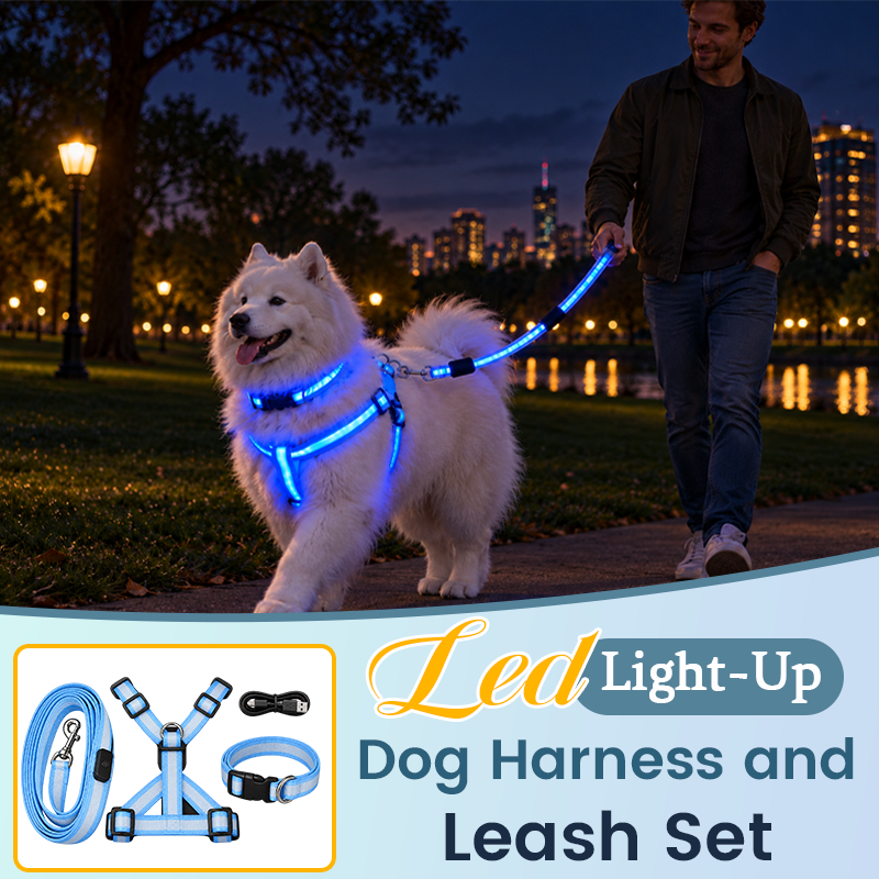 🐾✨LED Light-Up Dog Harness and Leash Set