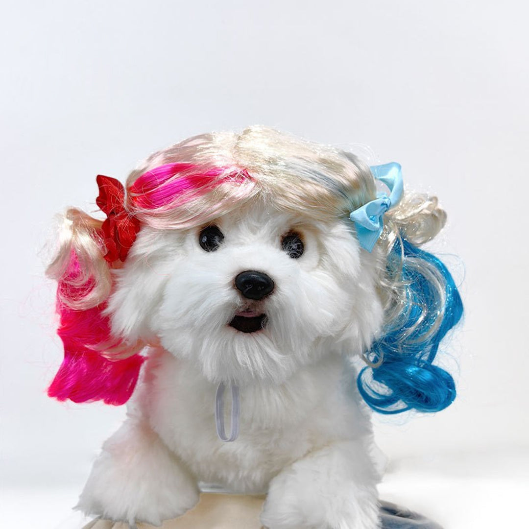 Personalized Fun Pet Wigs for Halloween & Dog Cosplay