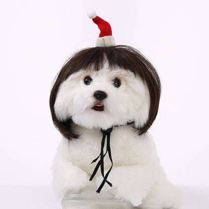 Personalized Fun Pet Wigs for Halloween & Dog Cosplay