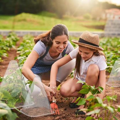 🌿 Växttäcken för växthus i trädgården 🌱/🌿 Växttäcken för växthus i trädgården🌱