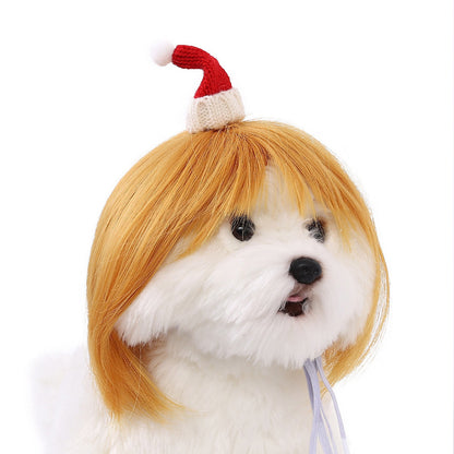 Personalized Fun Pet Wigs for Halloween & Dog Cosplay
