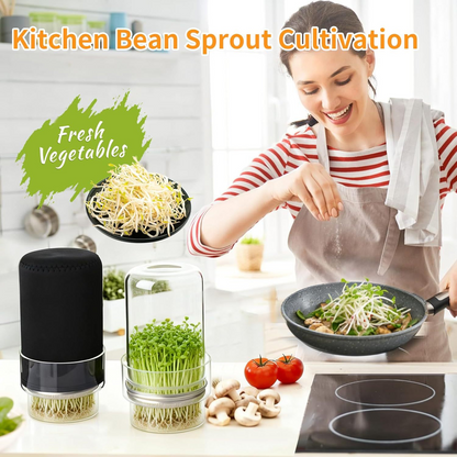 🥦 Updated Sprouting Kit - Sprouting Jar Kits