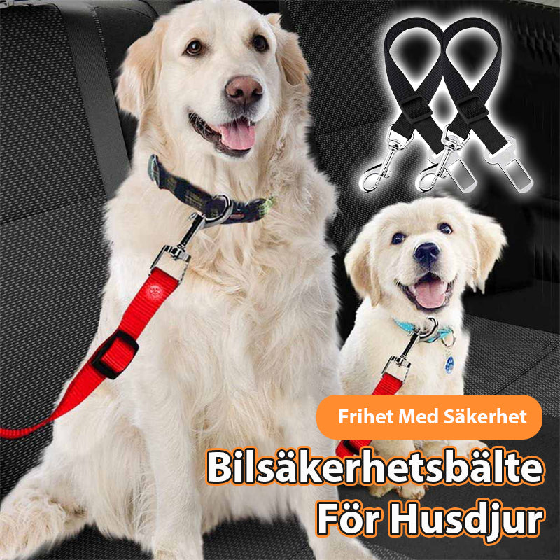 Bilsäkerhetsbälte För Husdjur