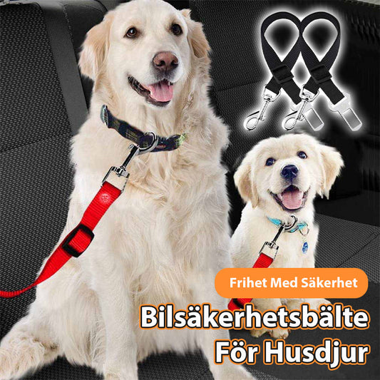 Bilsäkerhetsbälte För Husdjur