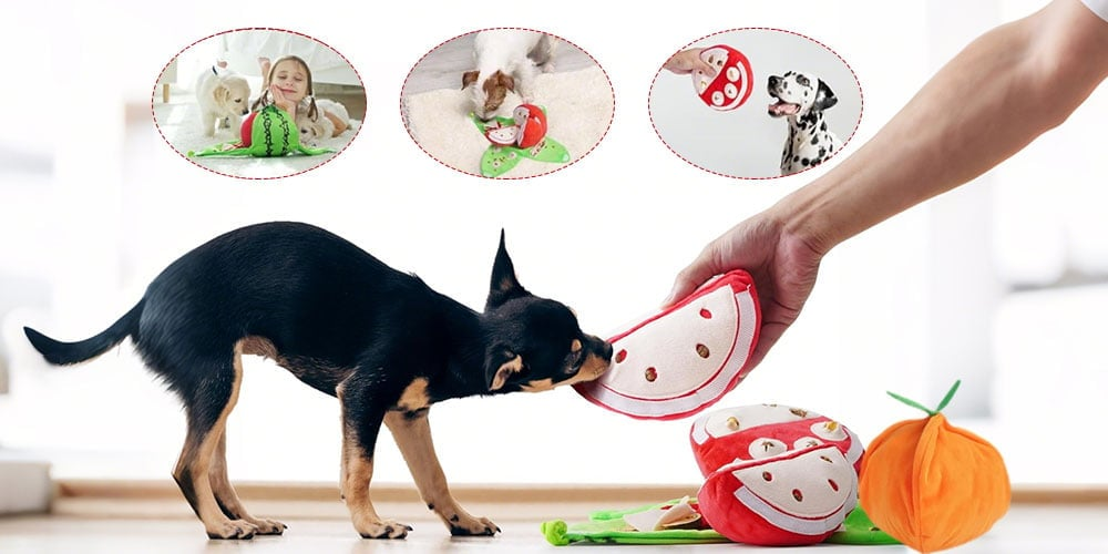 Seek Plush Dog Toys