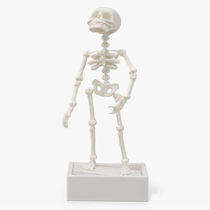 💀 Halloween Dynamic Skeleton Fish Tank Ornament: Air-Driven Aquarium Decor!🐠