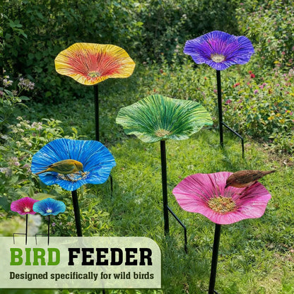 Bird Feeder