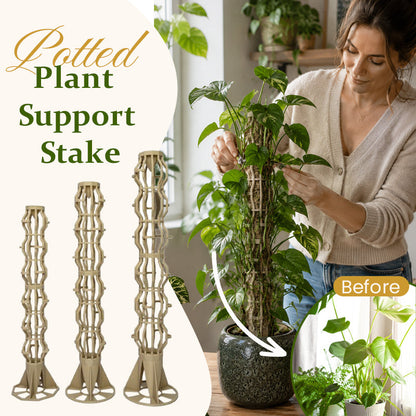 🌿Give Your Climbing Plants the Support They Deserve  | Plant Moss Pole for Monstera & Pothos🌿