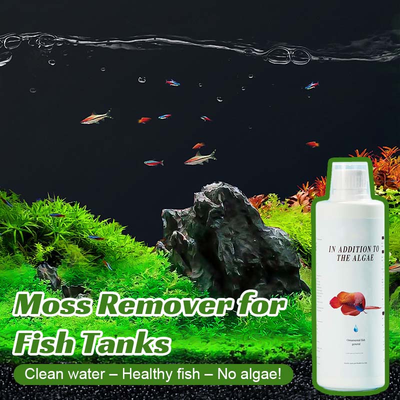 🐠 Mossborttagare För Fiskakvarier