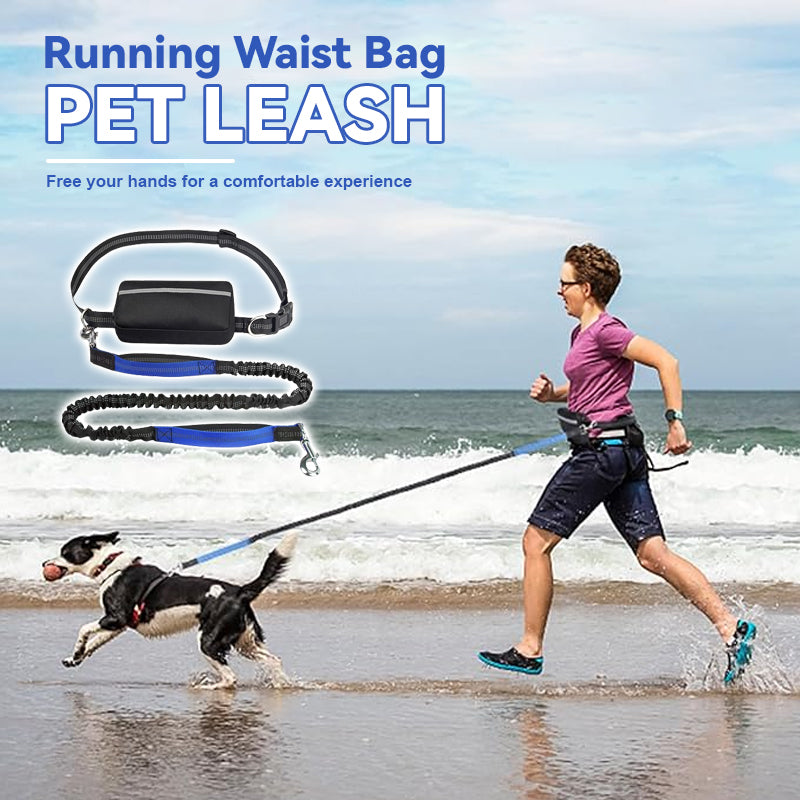 Midjeväska med band för springande husdjur