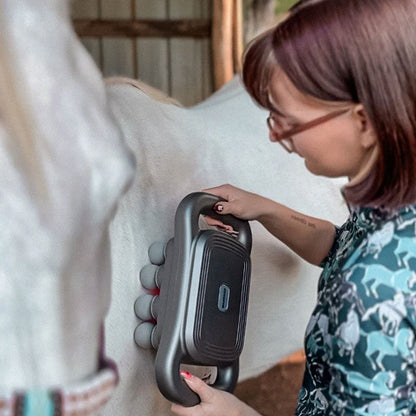 8 huvuden hästmassagepistol