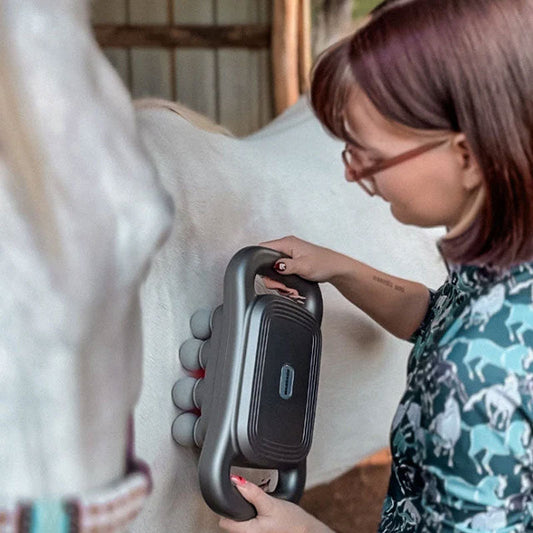 8 huvuden hästmassagepistol