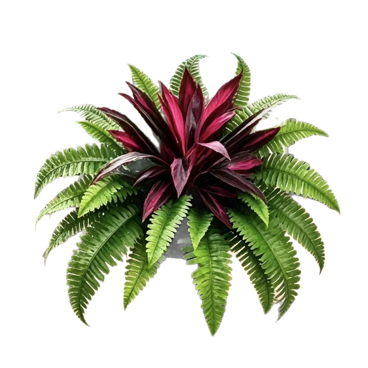 🌿 UV-resistant artificial ferns & red dragon trees – Full, lush, and colorfast!