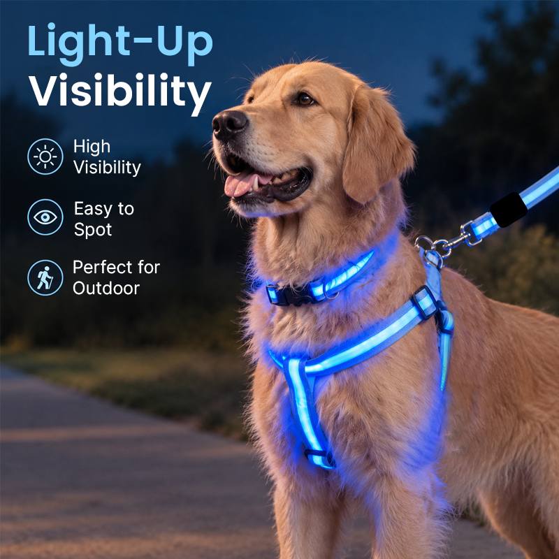 🐾✨LED Light-Up Dog Harness and Leash Set
