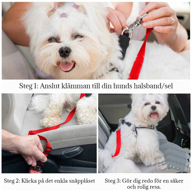 Bilsäkerhetsbälte För Husdjur