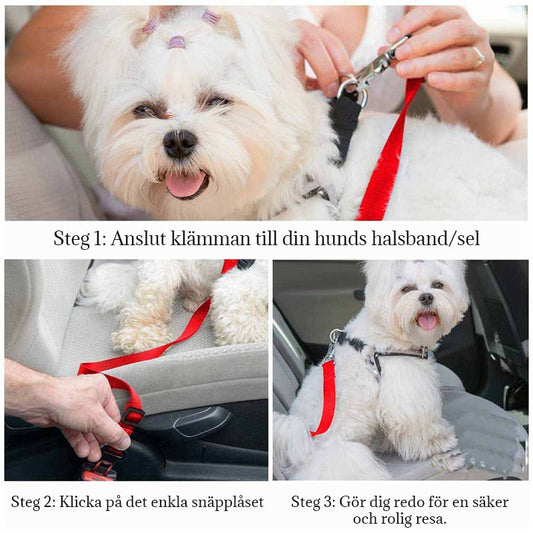 Bilsäkerhetsbälte För Husdjur