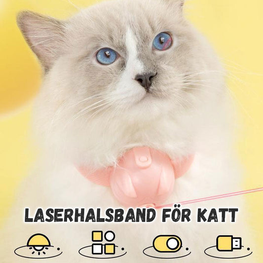 Halsband med laserleksak för katter