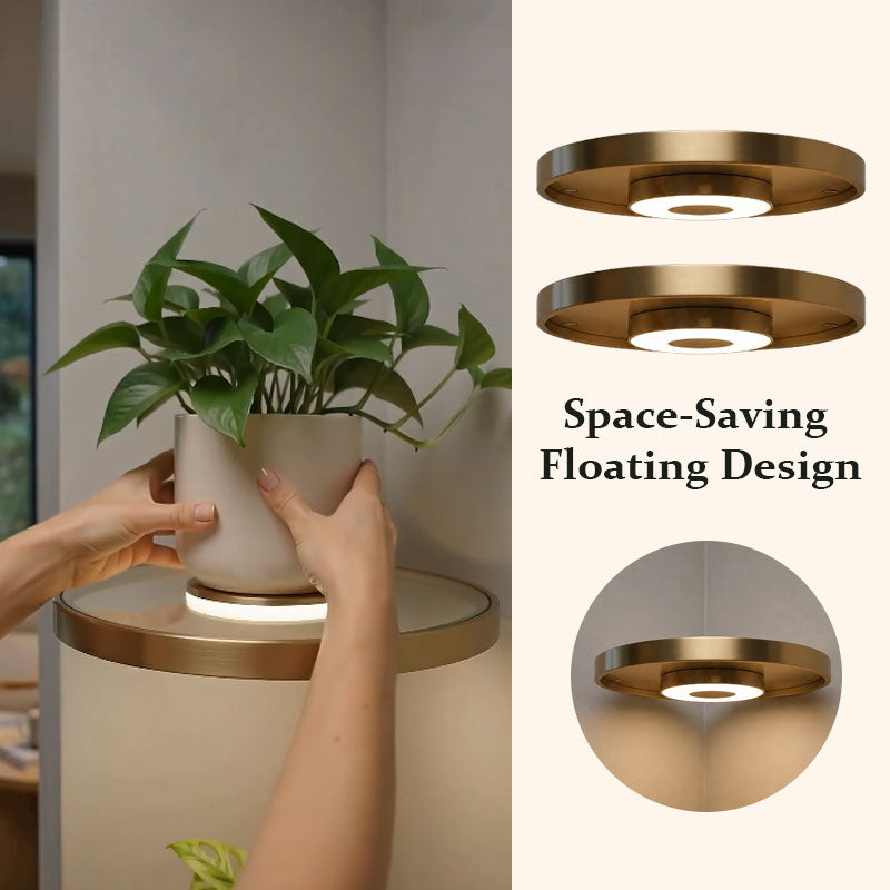 💡Floating Wall Shelf with Built-in Ambient LED Light