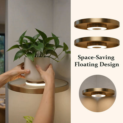 💡Floating Wall Shelf with Built-in Ambient LED Light