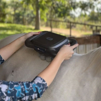 8 huvuden hästmassagepistol