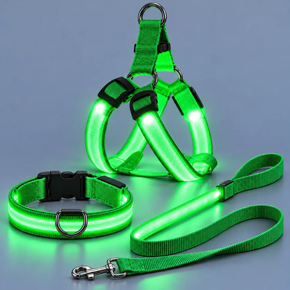 🐾✨LED Light-Up Dog Harness and Leash Set