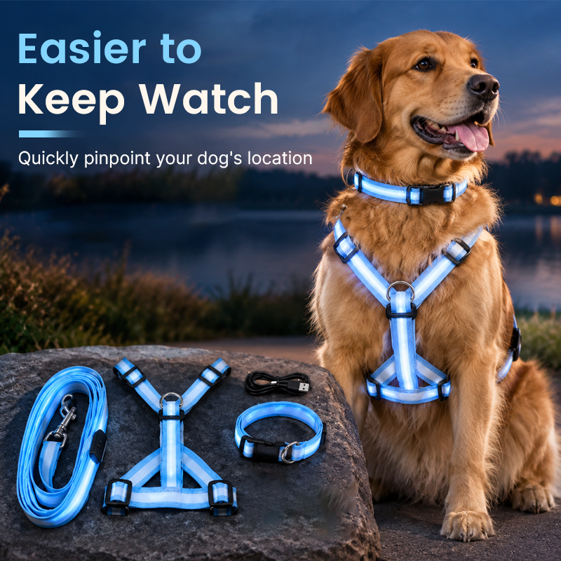 🐾✨LED Light-Up Dog Harness and Leash Set