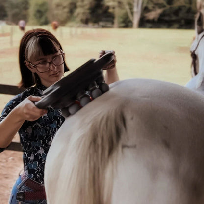 8 huvuden hästmassagepistol