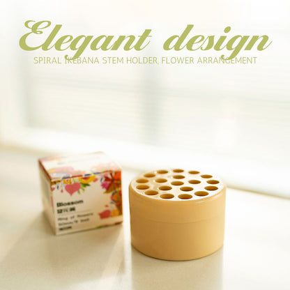 🎁Specialerbjudande🔥Spiral Ikebana stamhållare