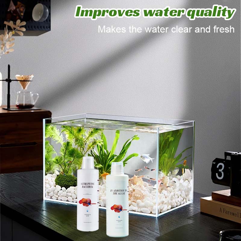 🐠 Mossborttagare För Fiskakvarier