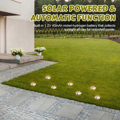 Solcellsdriven Katttasslampa