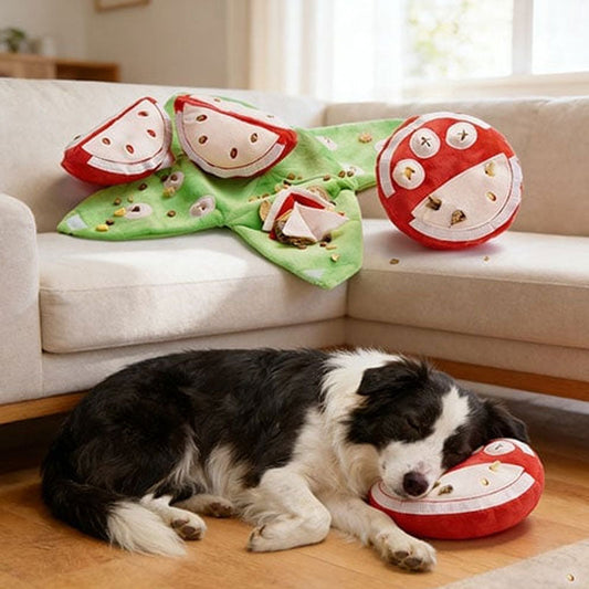 Seek Plush Dog Toys