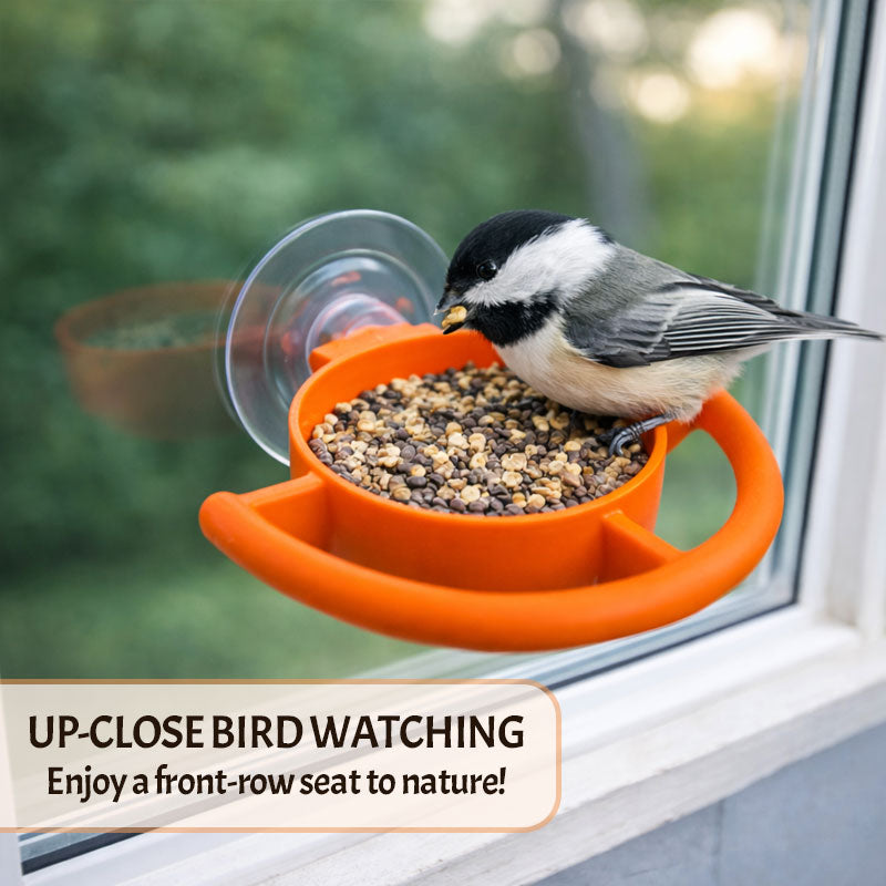 Bird Feeder Window Suction Cup Holder