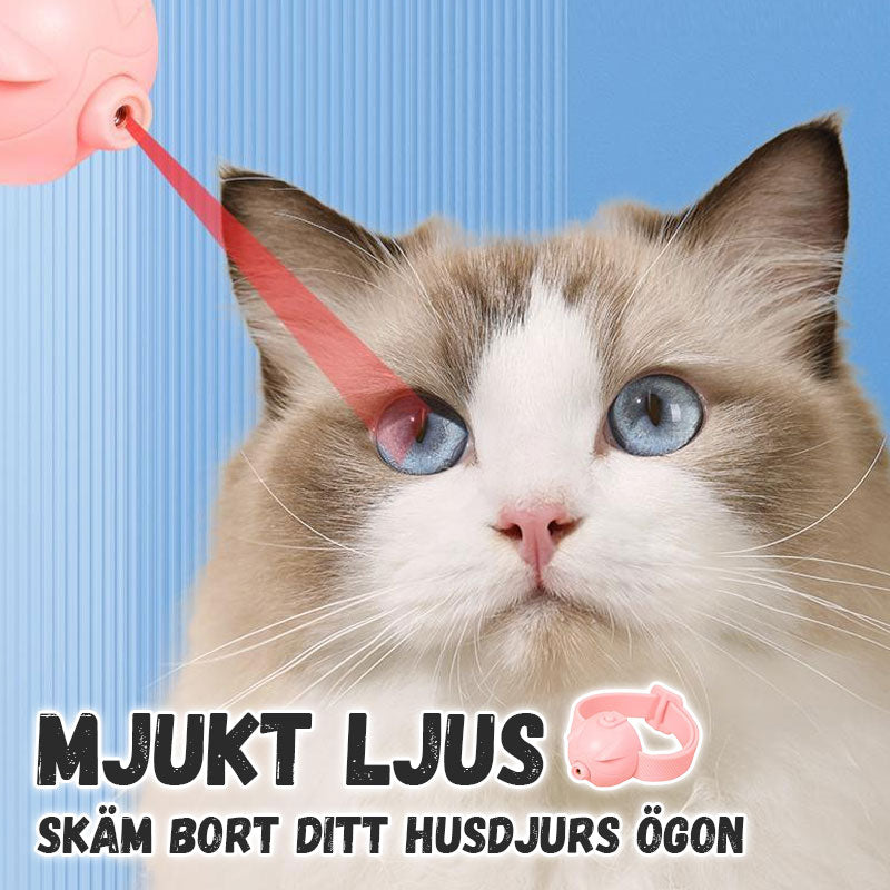 Halsband med laserleksak för katter