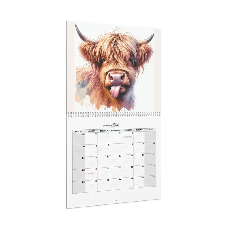 🐮2026 Highland Cattle-kalender📅