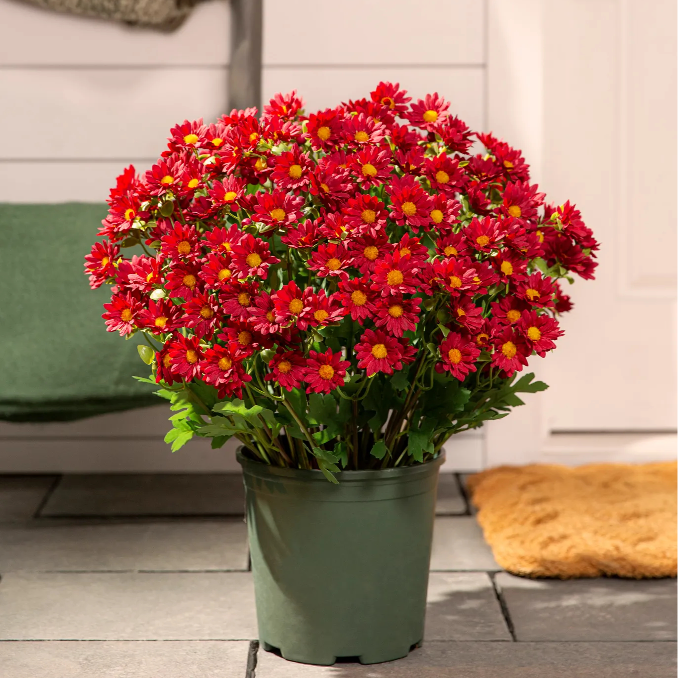 🌼- Artificial Outdoor Sunset Mums Flowers - UV resistant, Waterproof, Windproof