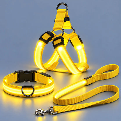 🐾✨LED Light-Up Dog Harness and Leash Set