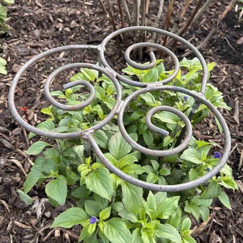 🌱 Plant Support